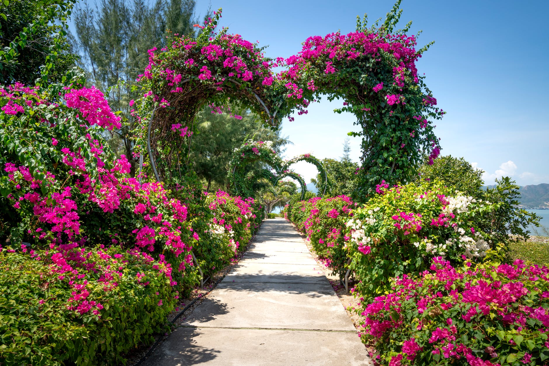 Romantic Garden Photos